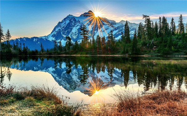 1539271929-wHyFCWZOqQ.jpg