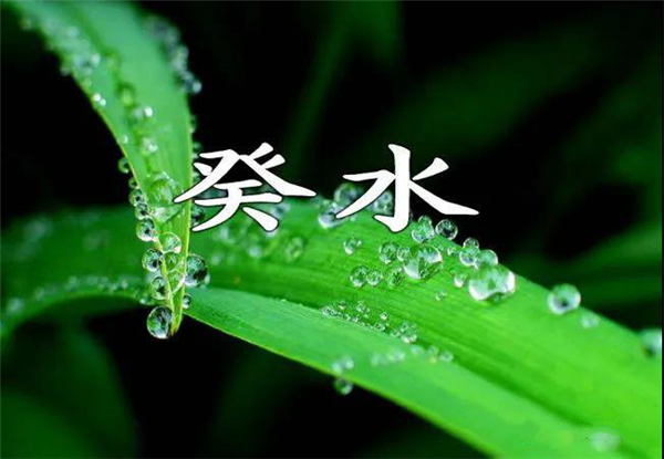 爱情运势