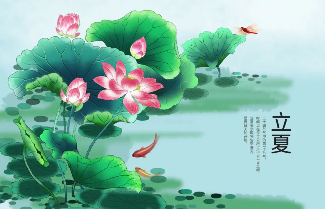 缘由心定，缘起于心 女人要注意戒掉生活中的败夫行为