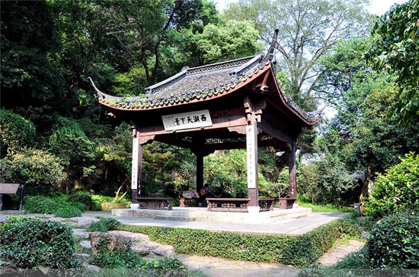 免费运势一生运势图