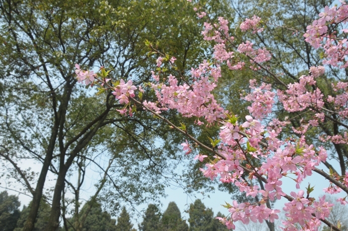 从家居风水和八字命理看夫妻不和的根源在哪里