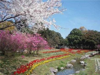 阴宅定生死阳宅管富贵是什么意思？