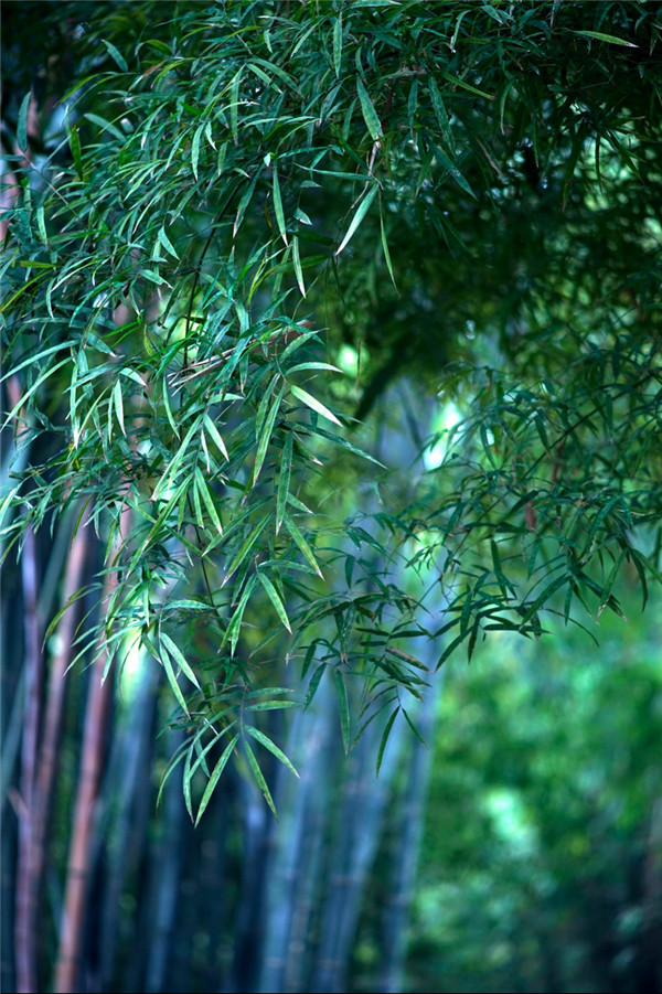 详解房子坐向风水禁忌，对比一下你家的房子朝向哪里？需要注意什么？