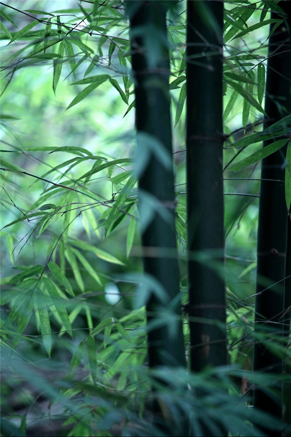 不小心租住了死过人的房屋（凶宅）怎么办？有什么办法化解吗