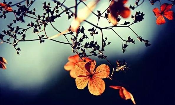 道教法术玄秘钩隐（二）：宝镜