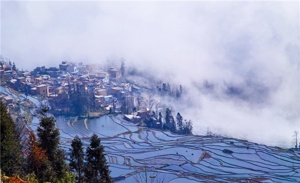 奇闻异事 吉林省老扶余县城三家村灵狐拜月传说