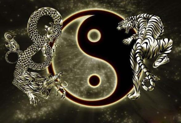 东面是青龙方，西面是白虎方，白虎抬头会有什么后果？