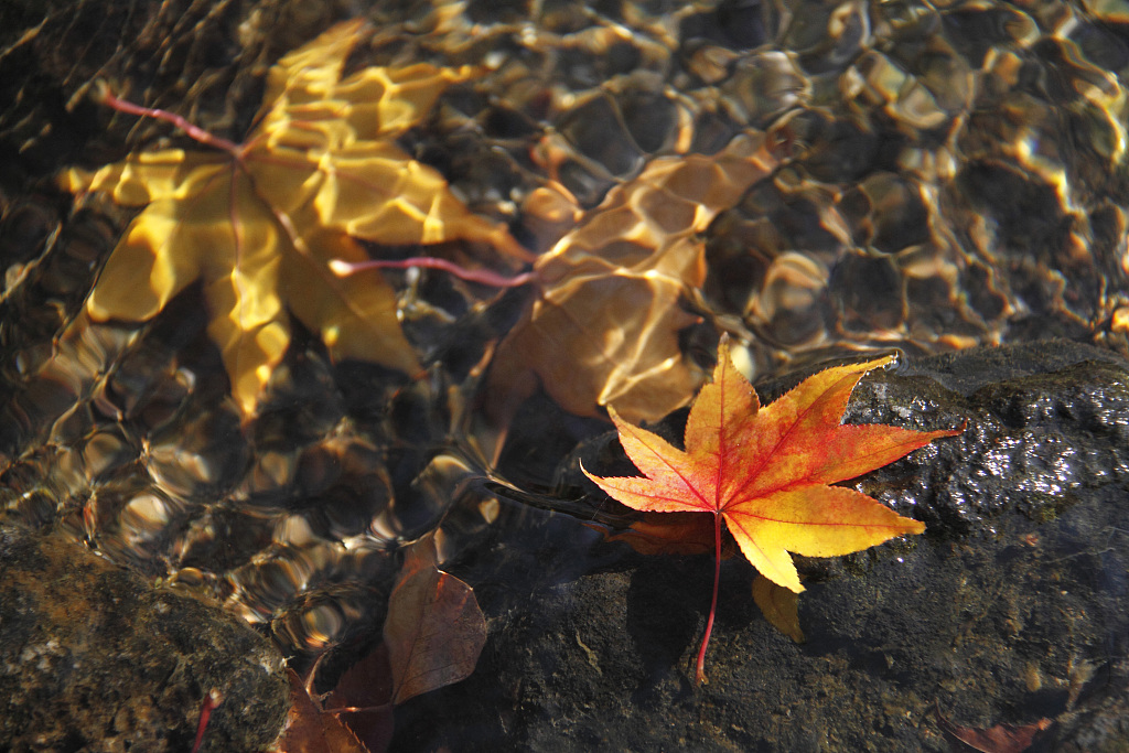 从胡公大帝谈香火奉祀成神