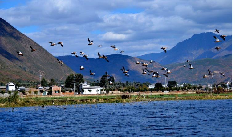 每个人有着不同的五行能量,十二生肖夏天必戴的开运吉祥物 每个人有着不同的五行能量,十二生肖夏天必戴的开运吉祥物