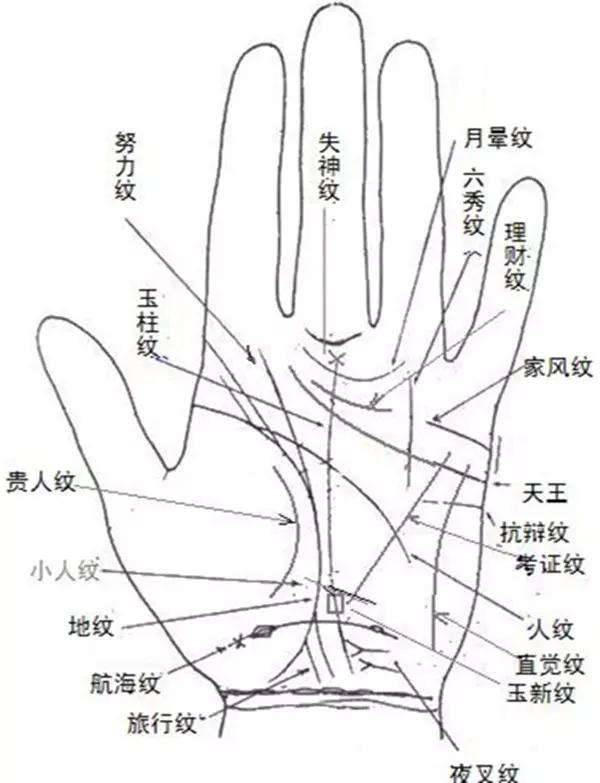 手相图解男左手 富贵图片