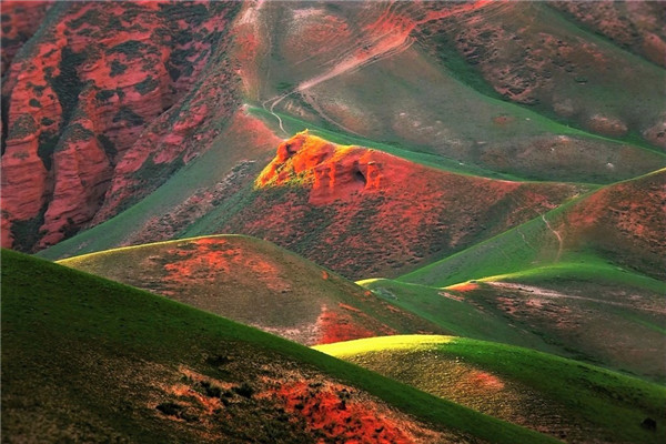 从十二生肖属相看你适合什么职业，提前知晓自己适合什么职业，合理利用