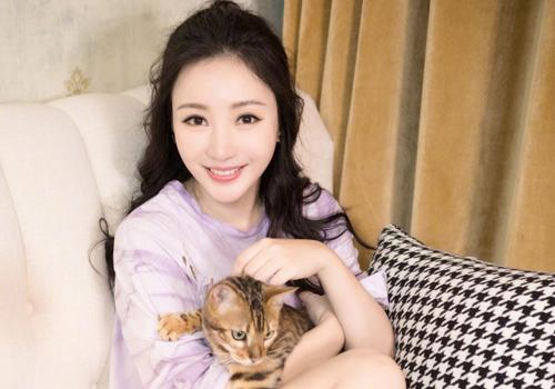 招财辟邪的吉祥物有哪些？开运貔貅七星阵知识简介