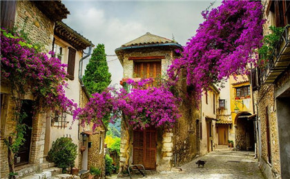 风水貔貅为什么能招财？貔貅的招财能力来源于哪里？