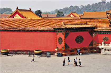 1982年出生的属狗人在2021年中的工作运势好不好？属狗人佩戴什么吉祥物提升财运？