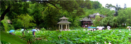 怎么用十二生肖属相预测姻缘？怎么看生肖是否配对？