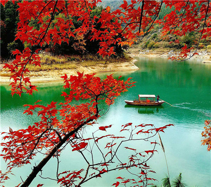 风水貔貅家中摆几个最好?是摆放越多越好吗? 风水貔貅家中摆几个最好?是摆放越多越好吗?