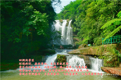 神峰通考 3－七十多岁的老人积数十年的运势实战经验结晶
