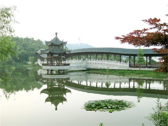 探赜索隐预测命运之术《五行精纪》 卷廿八