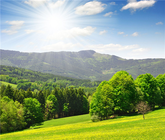 关于貔貅的轶闻典故，貔貅在历史上都发生了什么轶闻典故呢？