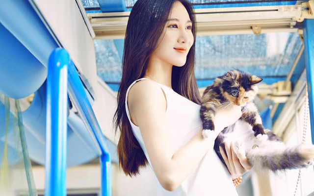 常见家居摆放物件推荐,鱼缸有很强的催财作用