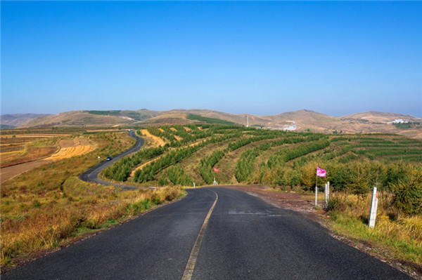 家居风水学,家里的财位摆放什么吉祥物好? 家居风水学,家里的财位摆放什么吉祥物好?