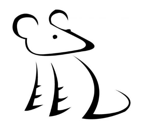 2021年开始转运，每个生肖运势都不同