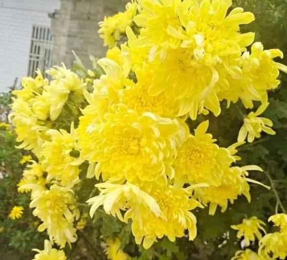 清明节扫墓有什么禁忌?清明扫墓用什么净身和防身?