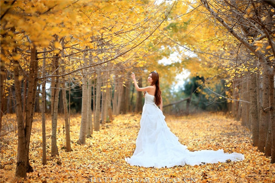 十二生肖未来五年运势运程大揭秘！看看生活中你会过得好不好？