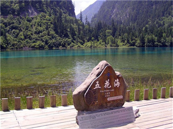 十二生肖中乐观开朗的生肖有哪些?属鸡人性格开朗外向