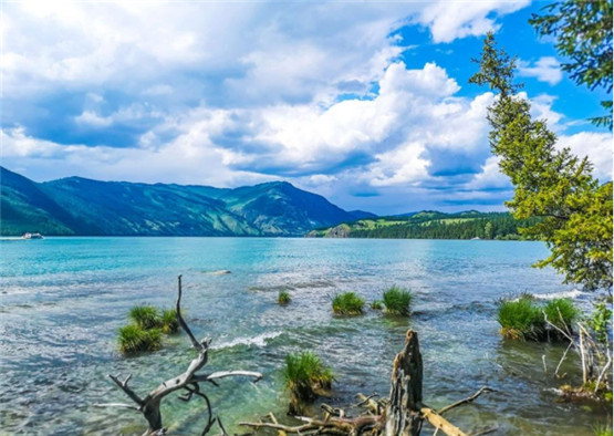 阳台风水摆件转运的小窍门,摆放石狮可以起到镇宅的作用