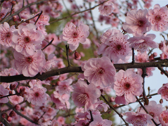 生肖运势分析：属兔的男人对老婆好吗？会打老婆吗？