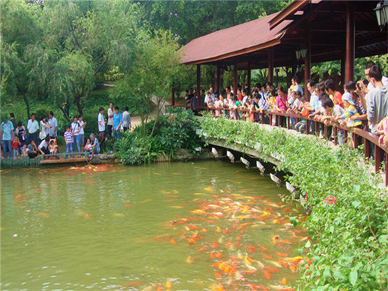 客厅旺财风水摆件,常见的客厅招财风水摆件有哪些禁忌? 客厅旺财风水摆件,常见的客厅招财风水摆件有哪些禁忌?