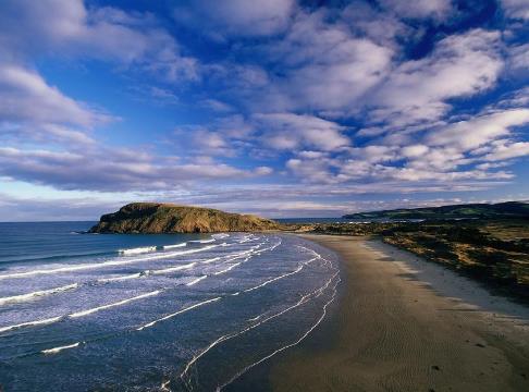 2021年辛丑年生肖猪的运势及运程