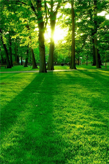 龙抬头习俗1早2吃3禁忌，老传统不能丢，新的一年福气满满