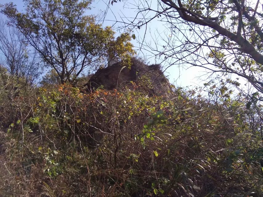 农村俗语：“清明上坟禁忌，新婚夫妻为什么不能在清明节上坟呢？