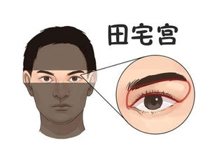 ࿴ʲôǸ