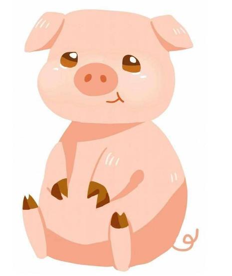 属猪人出生在春夏秋冬那个季节好