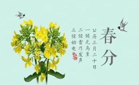 春分有哪些习俗？老话“春分一盼三忌三做”指哪些？