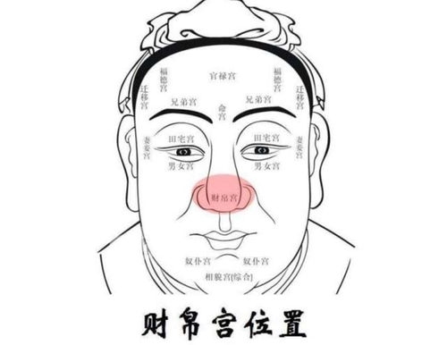 女人面相,面相眼睛-「男人面相圖解大全」面相眼睛可以看富貴嗎?