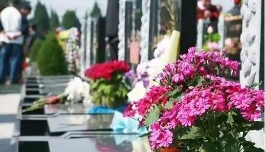 清明节扫墓越早越好？清明节3大禁忌你都知道吗？