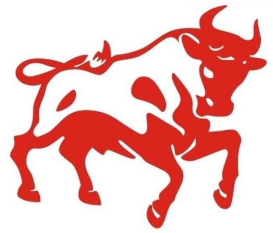 2021辛丑牛年是什么牛？