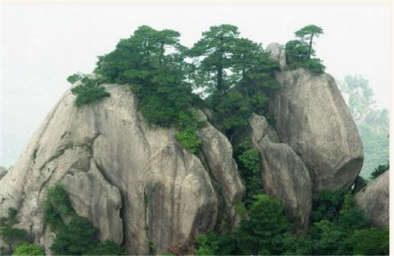 2021上半年运势最好的生肖，财富收入会有很高的增加！