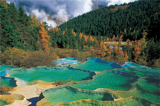 生肖性格，有话不直说，总是话里有话的三大生肖