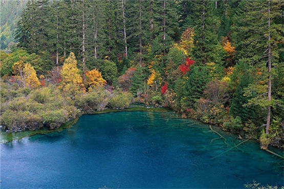 八卦镜正确的挂法有哪些？八卦镜适合悬挂在什么场合？