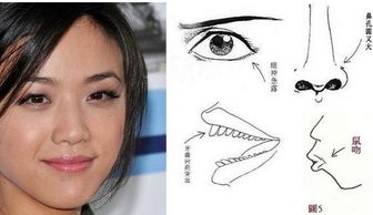 不孝不忠的面相，遇见这样的人千万不能结交！