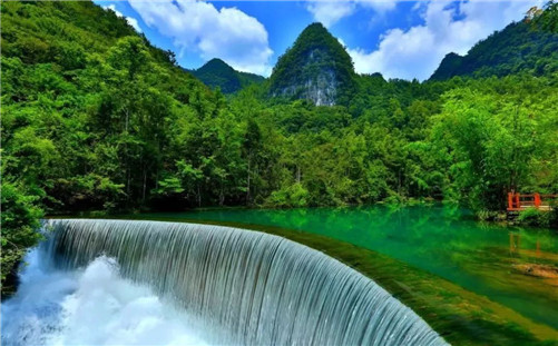 面对很多挑战,生肖猴今年的运势会如何？