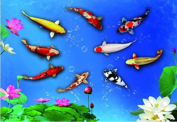 十二生肖中那几个生肖值得交朋友