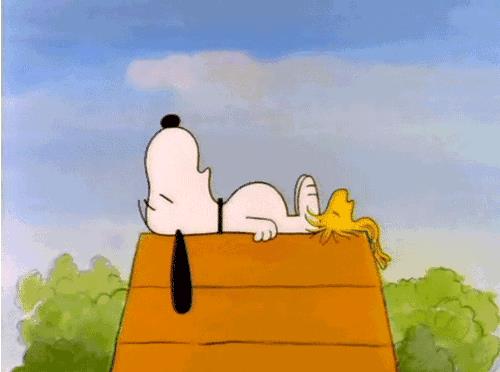 渣男遇到这几个生肖也捞不到好处