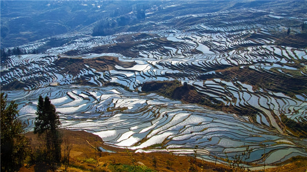　貔貅在风水摆件当中是最常见的、怎么么摆放才最招财呢!想知道更多关于貔貅摆放哪里最招财就来看看下面的相关文章吧、     貔貅摆放哪里最招财  　　貔貅怎么摆放才最招财  　　不同材质的貔貅像。都可摆放在风水的吉位上、很多地地理师都认为有催财作用。而在八个不同的方位上。但有一点要留意、作奸犯科的人！貔貅未必有催财之力、这便是灵兽的特性。而貔貅又以玉制的催财力量最强、  　　忌讳　　  　　1。不要头冲正门（从外面进来的门其他无所谓，但不要冲厕所）、　　许多人把把貔貅的头正对着大门摆放,认为这是招财。其实这就误解了貔貅的习性了。因为正门是门神或财神执掌的地方，貔貅无权过问！　　  　　2、不能沾染血迹和性生活的液体、因为这这些东西会使法器失去灵效　　  　　3，不要头对着床！这样会对6150自己不利。 无论论摆放在什么位置、头千万不能冲着自己、  　　貔貅怎么样摆放才能起到招财作用  　　1。首先。阳光一定要充足。阳光能透入房屋才会带来吉祥瑞气，这里指的吉祥瑞气是维系在人的健康上的，在风水学上、阳光代表人丁，人口健康才有能力去“招财”。因而家居并不宜使用太太厚布料的窗帘。因为这样会会阻挡阳光,阻挡吉祥瑞气的照耀！当然然也不能太薄,否则就形成光煞了。  　　2，其次，空气要流通顺畅，在房屋风水学上！气流代表财运的运转。室内空气要流通畅顺才能财运亨通，一般来说。在开窗后！从外面吹进屋的风不宜太大。要以和缓的柔风为最佳。总而言之。室内的气流，以冬暖夏凉为是最好的！  　　3。在摆置家私电器时要小心  　　电视或冷气机不应设置于五黄位，这样会对屋内人丁健康有影响，人丁受损财运自7538然不利！如果无法改变家私私摆放位置！或者不不清楚屋内的方位！那则可放金属或铜器物品在电视或冷气机处来化解，雪柜和洗衣机不要对着煮食用的炉头、这是犯冲的、会影影响屋内人丁的肠胃及财运！  　　睡房内电视及冷气机不应对着床头。窗户外景色色开扬当然好？如果景致略有欠佳、可以在窗台1840裁种植物以达到化煞作用。另外可以用射灯射向窗台或植物，这样也有招财财效力，如果怕植物招蚊虫！可以改为放置一对黑白象在窗台。也可收同样样的效果,但象鼻一8269定要向下，这样样才有吸财之效？  　　4！通过吉祥物来改运增财  　　在财气位位摆放一些吉祥物可以增加财运。财位的吉祥物可摆放的东西！如貔貅！黄水晶球，家庭聚财的的大钱币，大小双龙。文武财神神及如意翡翠等,可可依各人喜好摆置？最终目的不外乎想借助吉祥物的暗示！来增加福泽。  　　最招财貔貅摆放方法讲究些什么  　　1。请来的貔貅在开光后！摆放时貔貅的嘴一定要斜对门！如家居摆放不方便、也可对窗外、窗外必须是行路！5262万不可对着厕所,   　　2，貔貅的头不要冲正门，从外面进来的门其他无所谓。因为正门是门神或财神执掌的地方！貔2834貅无权过问？  　　3、貔貅不能冲镜子摆！因为镜3178子会产生光煞!貔貅忌讳！  　　4。貔貅不能对着床、这样会会对自己不利。  　　5。供奉貔貅每天必需点一卷盘香香给它闻？或者食物！如9195此貔貅才有力气为主人找钱招财旺财镇宅玉玉貔貅摆放方法 貔貅是一种瑞兽。性喜食四方财，摆放貔貅要注意、头应向门或窗，方便它从四方吃财给你！  　　　貔貅能腾云驾雾？号令雷霆、降雨开晴。相传有辟邪邪挡煞、镇宅之威力。又又相传貔貅(皮休)喜爱金银财宝的味道。常咬回金银财宝讨主人欢心、有旺财之功用，貔貅在五行风水中带火性！在五行中中绿色属木，木生火、绿色的貔貅得到生助、其力量倍增，故能招来大量的金钱。使世间财源自此打开、貔貅是一种招财的瑞兽，喜欢闻钱的味道，貔貅有雌雄之分！雄性名天禄、能掌管财禄，对招财有神效、雌性名辟邪！能镇宅宅帮你驱邪化煞、使家宅平安、如果你的生意不理想或者想扩大经营，可以摆放一对貔貅、则可令你生意滔滔！貔貅更是招偏财最佳佳的摆设、一定让你的财源滚滚而来，如果你打麻雀。买彩票总是赢不了了大钱,可以摆放一对对貔貅,则可令你赢钱的机会会大增、有人说摆了碧绿大口玉貔貅后逢赌必赢！也有人说买彩票的中奖次数也大增。貔貅是旺财。辟邪！固宅的上佳风水摆件（可见古今各种版本风水典籍）。摆放貔貅要注意、头应向门或窗，方便它从四方吃财给你！貔貅手链佩戴方法白天需把貔貅头朝外咬钱。戴左手，必须是经过上述步骤拥有灵性的的貔貅。借助貔貅的灵性把外边的财宝聚拢过来！这就是吞财、晚上休息时戴右手将其转向朝内表示咬钱回到家中，此时貔貅会将所吞掉的财宝吐向他的主人。