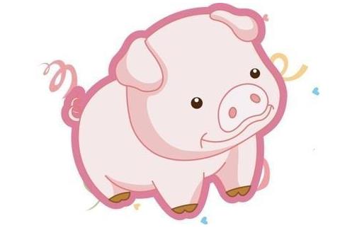 看属猪人一辈子的命运